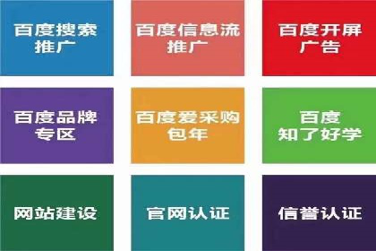 SEM搜索引擎优化：成功案例解析